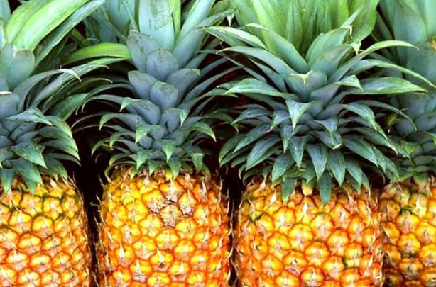 Foto - Ananas kabuğu kansere karşı koruyor!