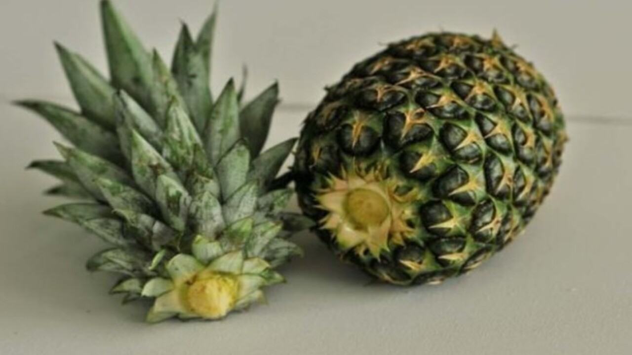 Foto - Ananas kabuğunun bilinmeyen faydaları! Bakın neye yarıyor
