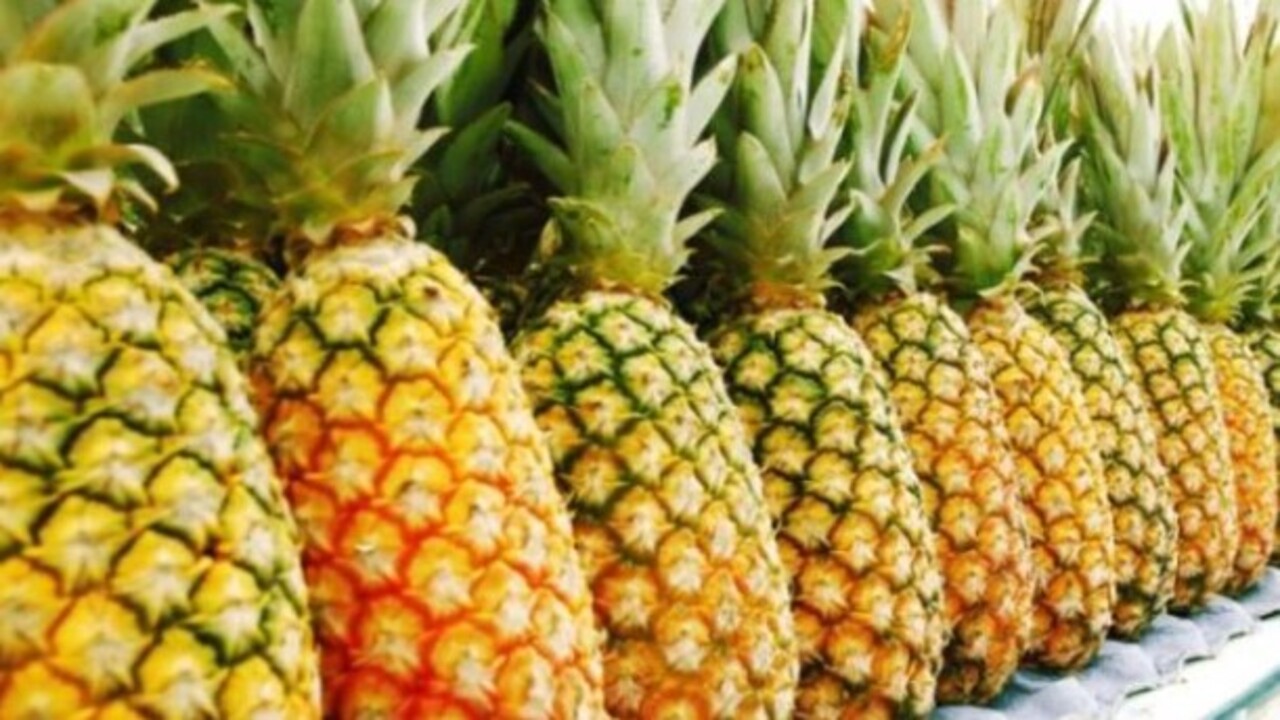 Foto - Ananas kabuğunun bilinmeyen faydaları! Bakın neye yarıyor