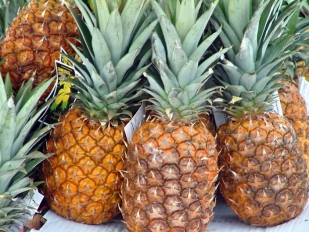 Foto - Ananas suyuyla zayıflayın!
