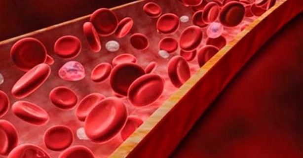 Foto - Aneminin 9 belirtisi