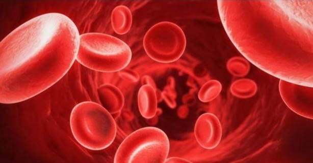 Foto - Aneminin 9 belirtisi