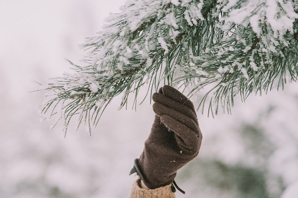 Foto - Ani sıcaklık değişimi zarar veriyor! Cildinizi soğuk havaya karşı korumanın 7 sırrı