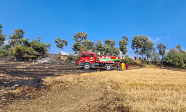 Foto - Anız yangını, 10 dekar ormanlık alana zarar verdi