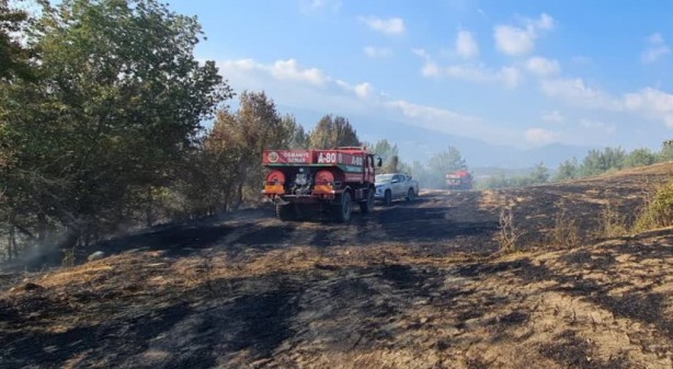 Foto - Anız yangını, 10 dekar ormanlık alana zarar verdi