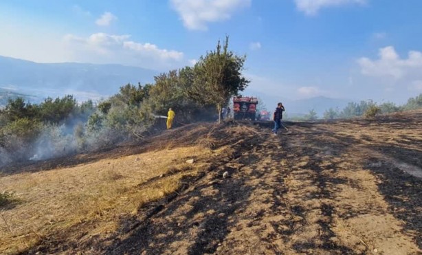 Foto - Anız yangını, 10 dekar ormanlık alana zarar verdi