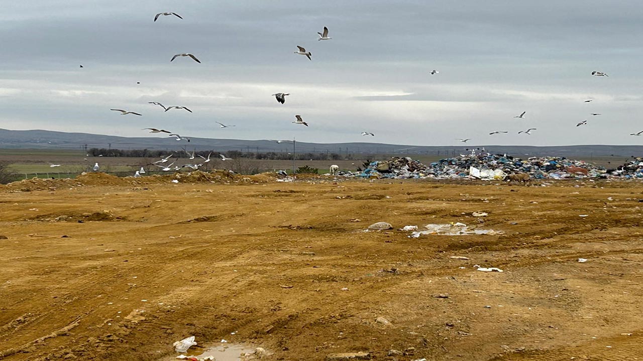 Foto - Ankara Büyükşehir'e müthiş çevre cezası! Mansur Yavaş tepki çekti