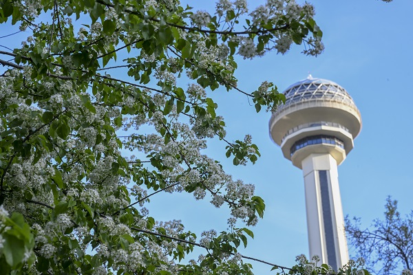 Foto - Ankara ilkbaharda başka güzel