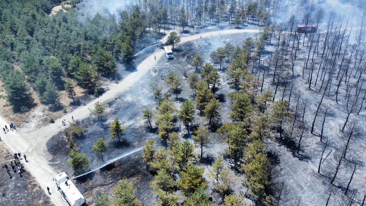 Foto - Ankara Valisi Vasip Şahin’den orman yangınına dair açıklama