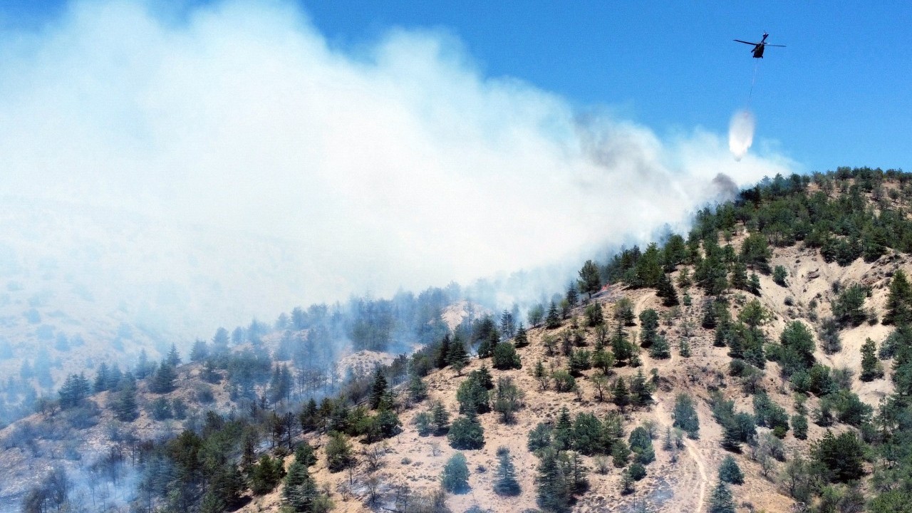 Foto - Ankara Valisi Vasip Şahin’den orman yangınına dair açıklama