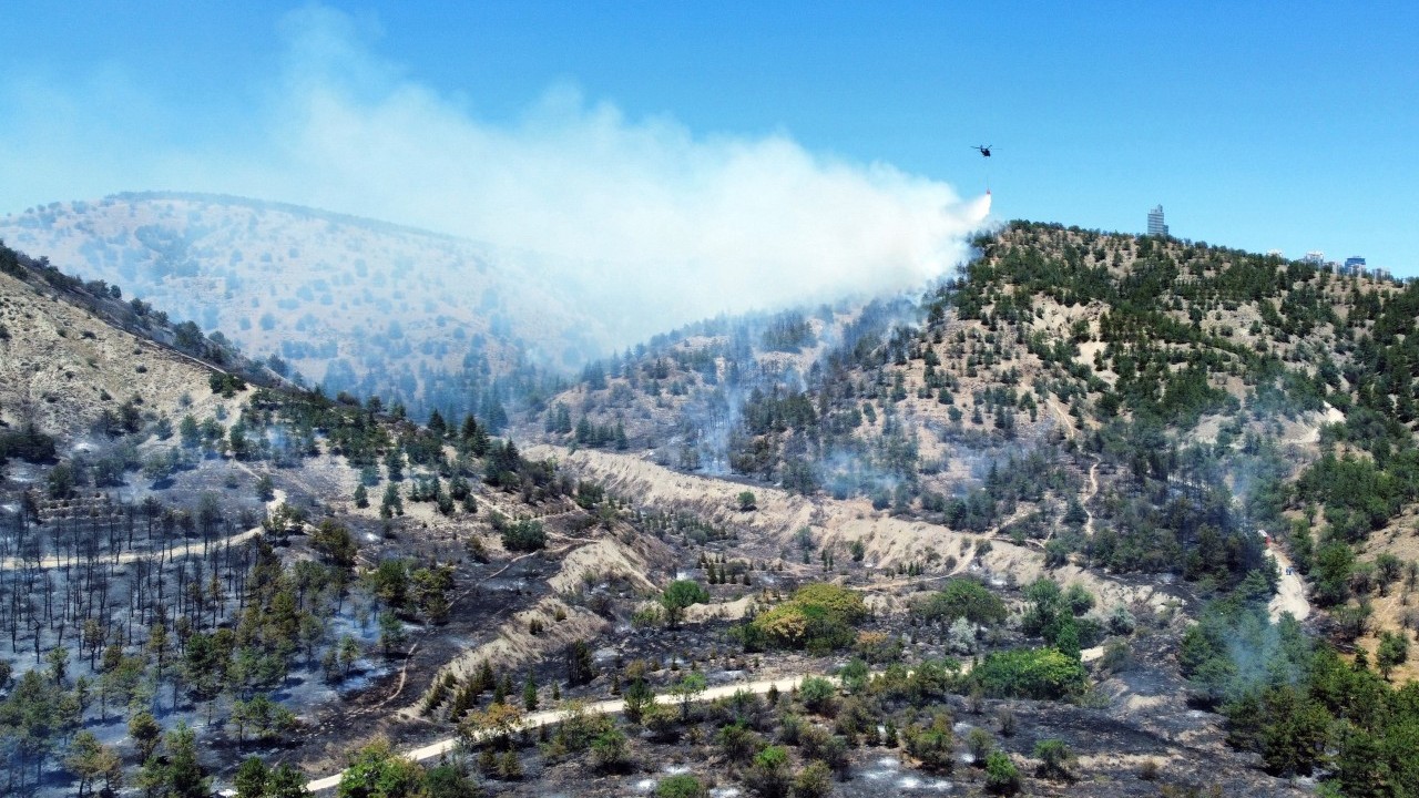 Foto - Ankara Valisi Vasip Şahin’den orman yangınına dair açıklama