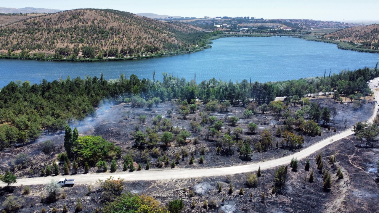 Foto - Ankara Valisi Vasip Şahin’den orman yangınına dair açıklama