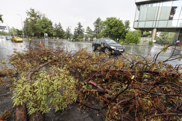 Foto - Ankara'da ağaç devrildi! Araçta hasar oluştu
