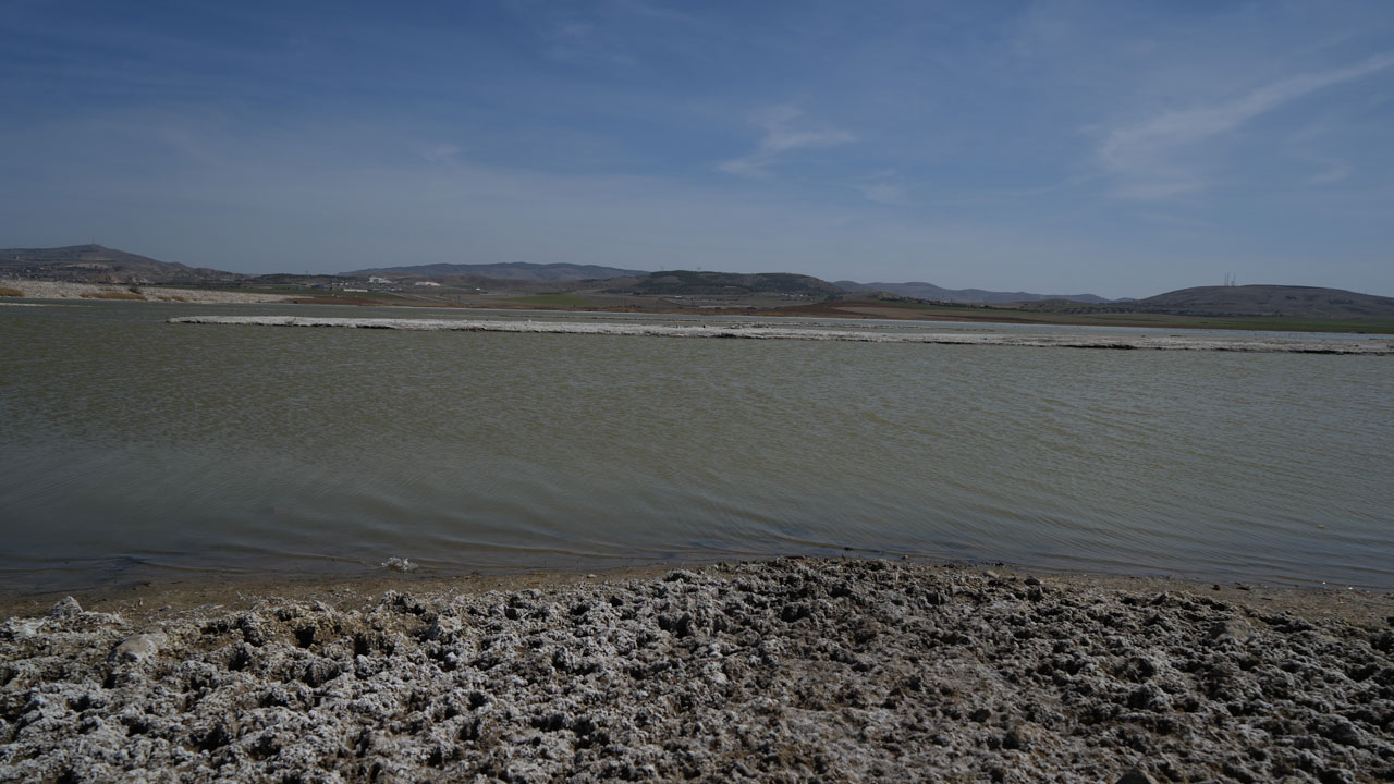 Foto - Ankara’da flamingolar tehlikede: Sel Kapanı Baraj Gölü kuruyor!