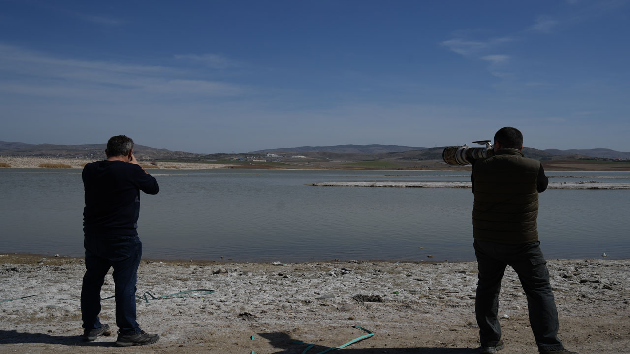 Foto - Ankara’da flamingolar tehlikede: Sel Kapanı Baraj Gölü kuruyor!