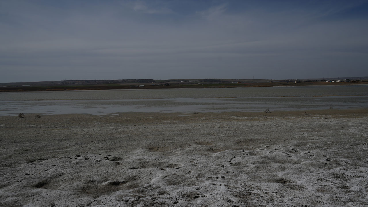 Foto - Ankara’da flamingolar tehlikede: Sel Kapanı Baraj Gölü kuruyor!