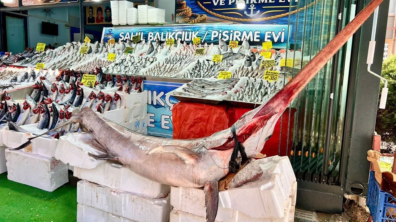 Foto - Ankara'da görenlerin dönüp bir daha baktığı balık