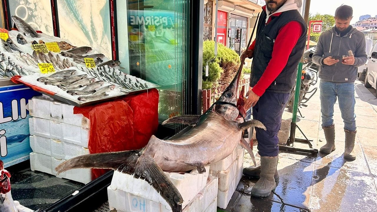 Foto - Ankara'da görenlerin dönüp bir daha baktığı balık