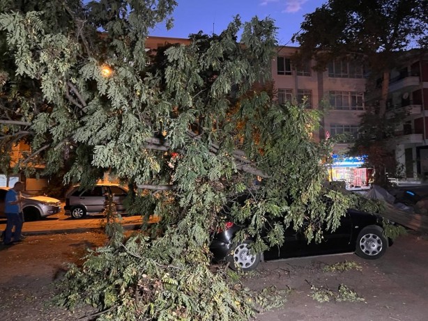 Foto - Ankara'da şiddetli fırtına! Ağaçlar araçların üzerine devrildi...