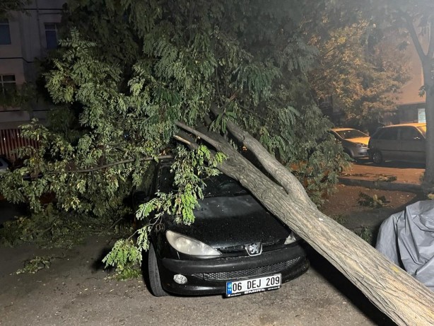 Foto - Ankara'da şiddetli fırtına! Ağaçlar araçların üzerine devrildi...