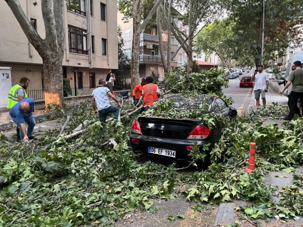 Foto - Ankara'da şiddetli fırtına! Ağaçlar araçların üzerine devrildi...
