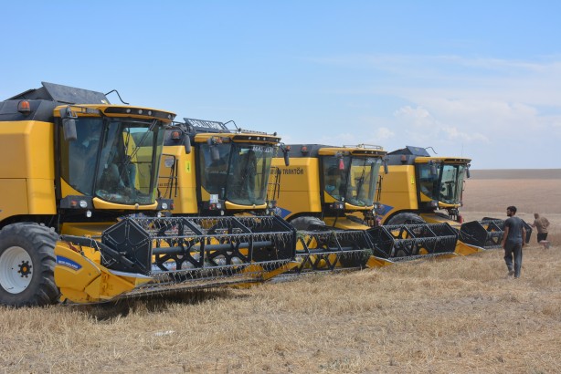 Foto - Ankara'nın tahıl ambarında hasat başladı