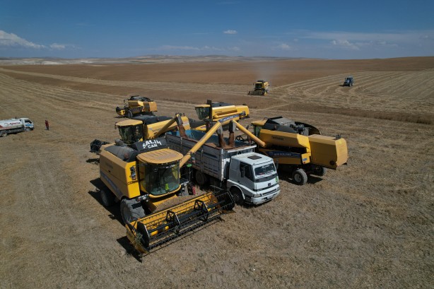 Foto - Ankara'nın tahıl ambarında hasat başladı