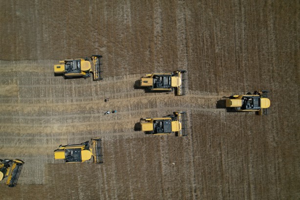 Foto - Ankara'nın tahıl ambarında hasat başladı