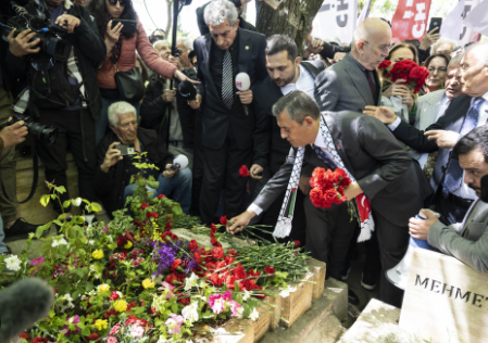 Anmak için sıraya girdiler ama! Bakın sizin 3 fidan neler yapmış?