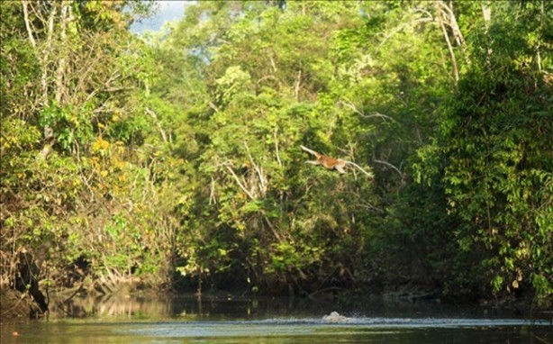 Foto - Anne aslanın merhameti yüreğinizi ısıtacak!