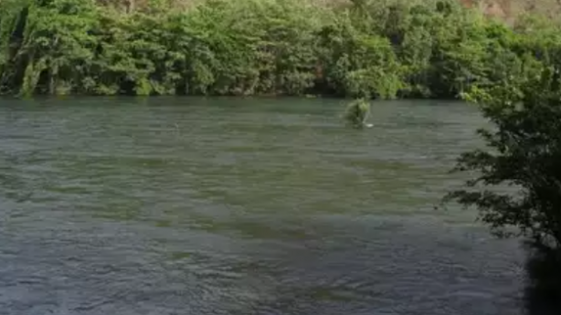 Foto - Anne - babası timsahlara yem yaptı! Bakın neden
