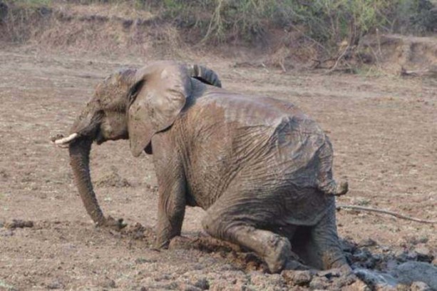 Foto - Anne filin dramatik mücadelesi