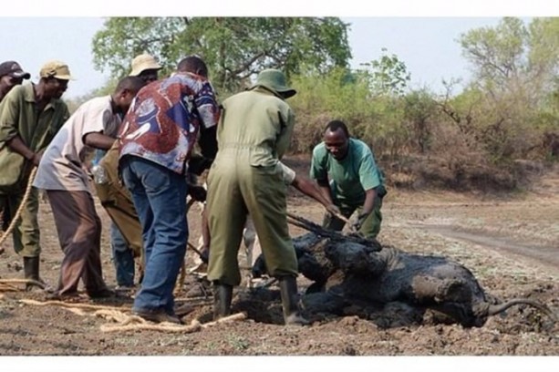 Foto - Anne filin dramatik mücadelesi