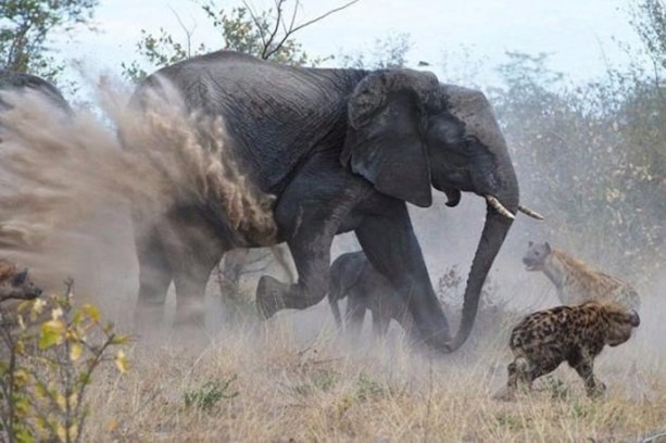 Foto - Anne filin dramatik mücadelesi