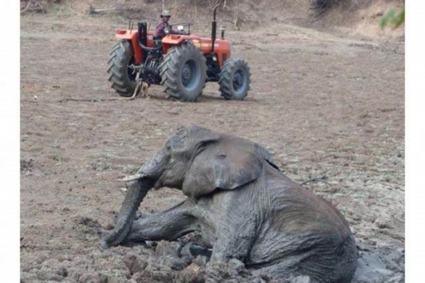 Foto - Anne filin dramatik mücadelesi