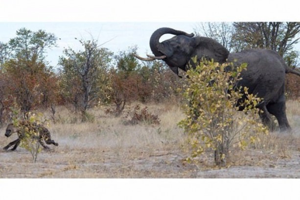 Foto - Anne filin dramatik mücadelesi