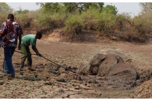 Foto - Anne filin dramatik mücadelesi