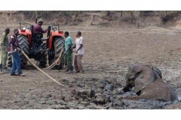 Foto - Anne filin dramatik mücadelesi