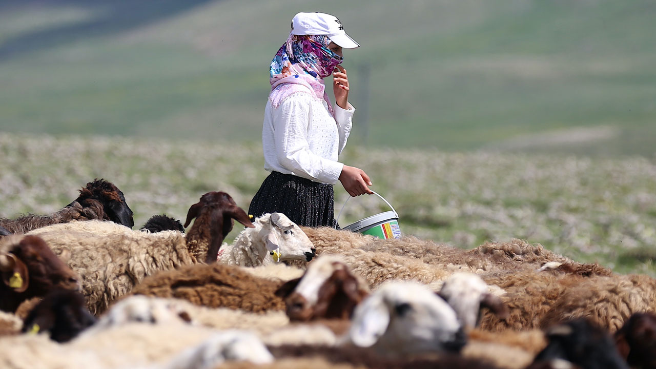 Anne-kızın başarı hikayesi! İstanbul’dan ayrıldı Erzurum’un yaylalarında patron oldu