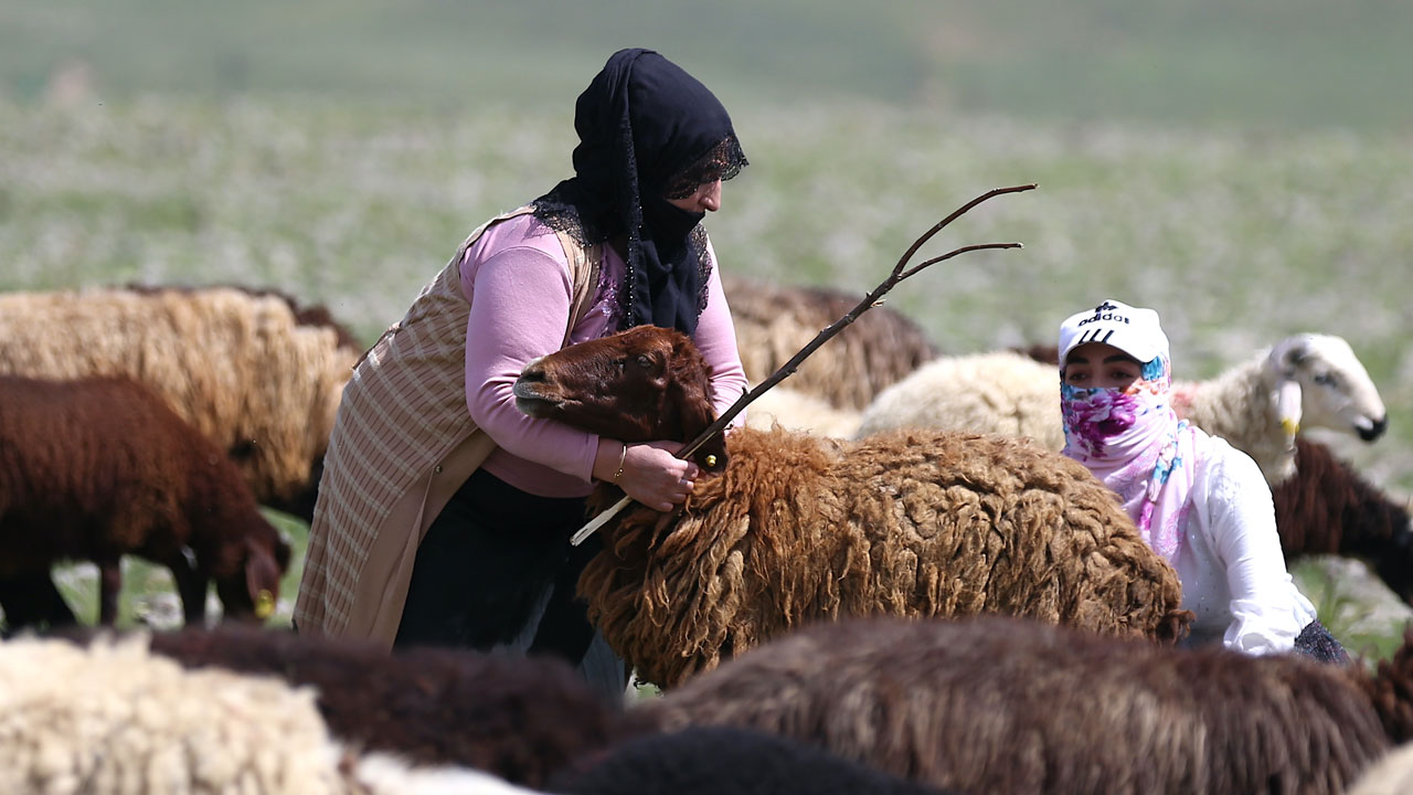 Foto - Anne-kızın başarı hikayesi! İstanbul’dan ayrıldı Erzurum’un yaylalarında patron oldu