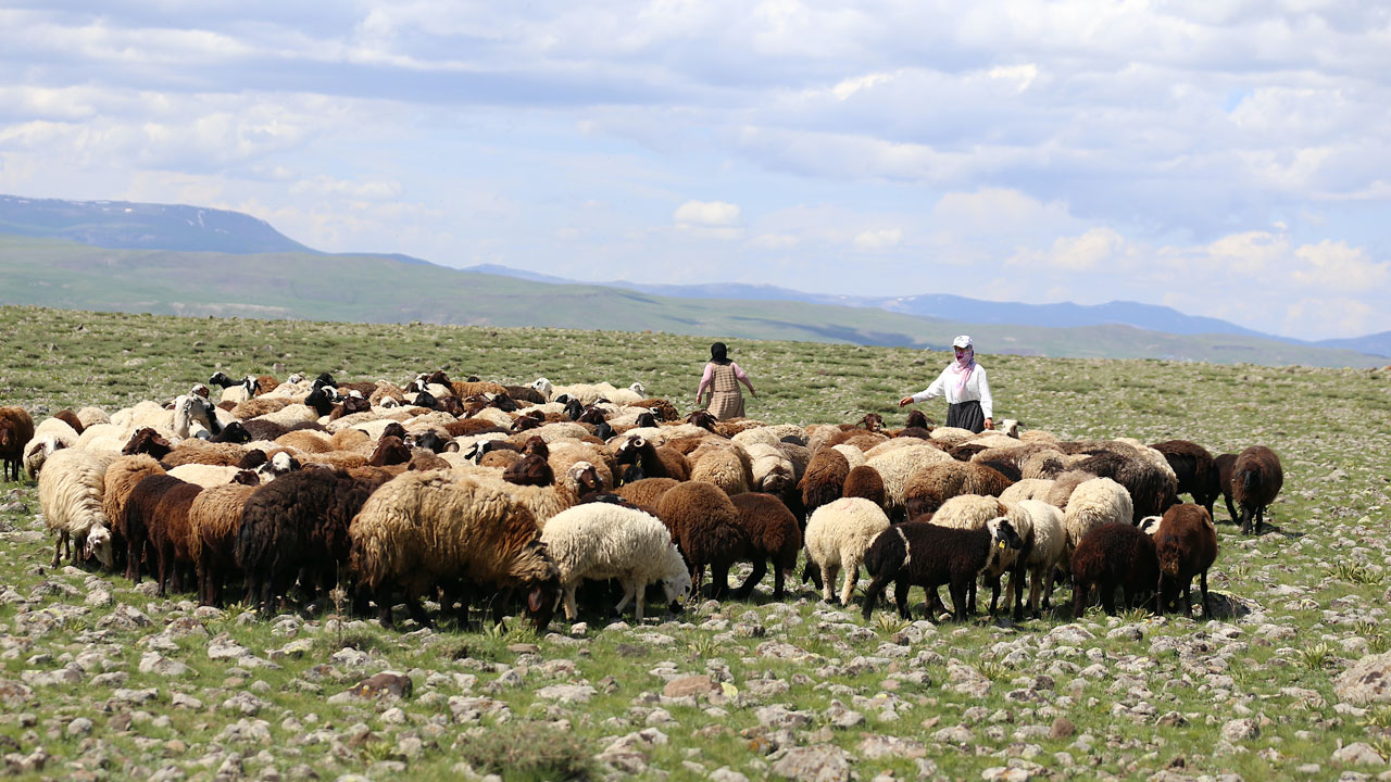 Foto - Anne-kızın başarı hikayesi! İstanbul’dan ayrıldı Erzurum’un yaylalarında patron oldu