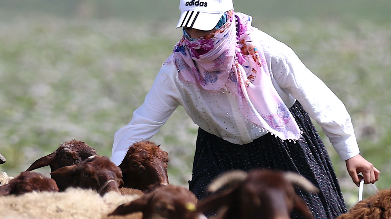 Foto - Anne-kızın başarı hikayesi! İstanbul’dan ayrıldı Erzurum’un yaylalarında patron oldu