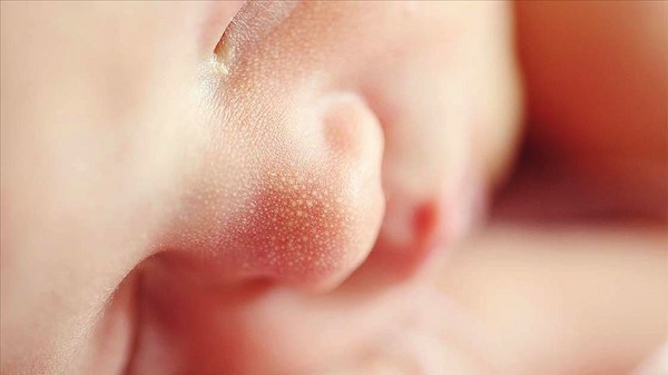 Foto - Anne sütü obezite riskini düşürür mü? 