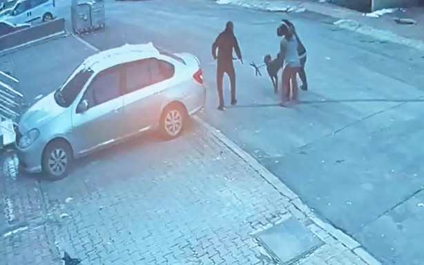 Foto - Anne ve çocukları saldırıya uğradı: Terörist köpekler