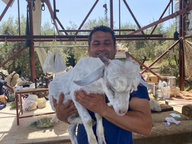 Foto - Annesi ölen oğlağı sahiplendiler! Bebekleri gibi bakıyorlar