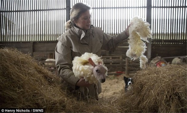 Foto - Annesi onu reddetti! Bakın neden...