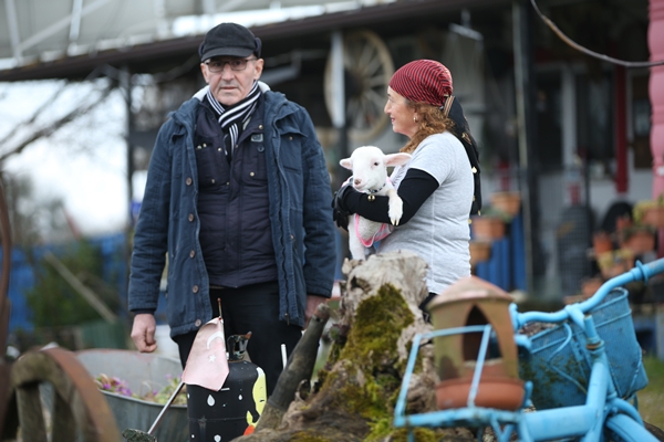 Foto - Annesiz kalan kuzuya "sıcak yuva" oldular