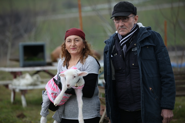 Foto - Annesiz kalan kuzuya "sıcak yuva" oldular