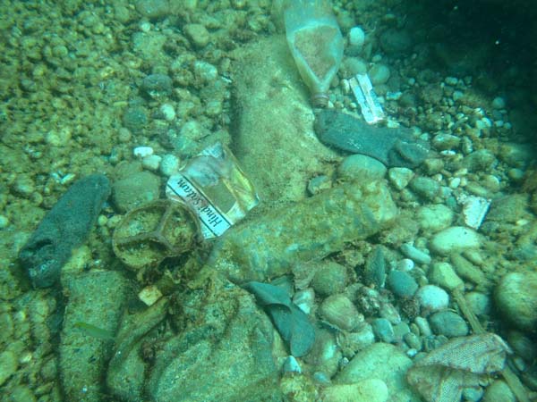 Foto - Antalya Körfezi'nde 'Biyolojik işgal' başladı