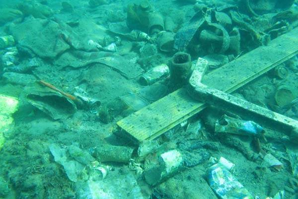 Foto - Antalya Körfezi'nde 'Biyolojik işgal' başladı